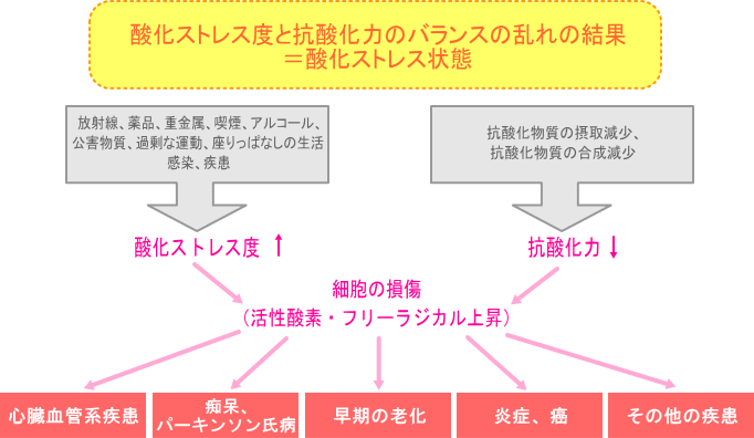 活性酸素 フリーラジカルとは 医療法人クレモナ会ティーエムクリニック